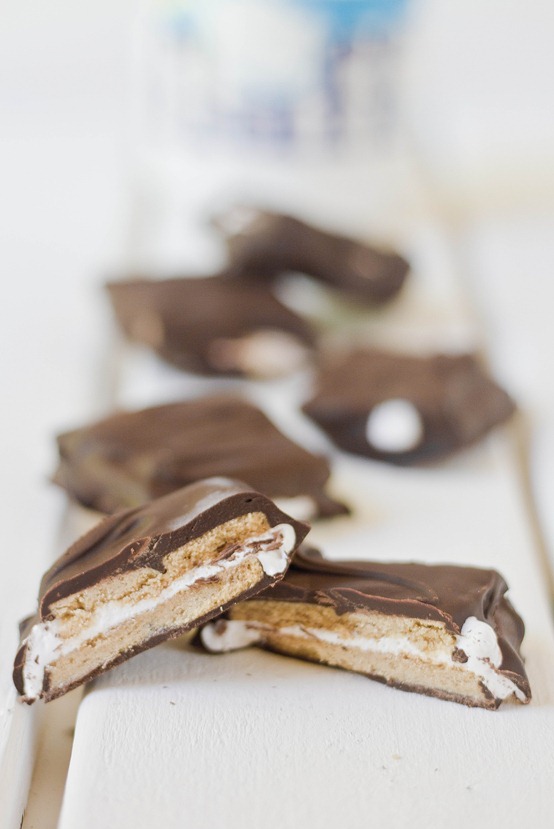 Chocolate Covered S'mores! 